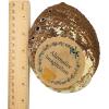 imageAbalone Shell 5 Inches or Larger  Holds Incense Trinkets and More  Incense Holder for Smudging Home Decor  Alternative Imagination5 Inches