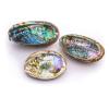 imageAbalone Shell 5 Inches or Larger  Holds Incense Trinkets and More  Incense Holder for Smudging Home Decor  Alternative Imagination5 Inches