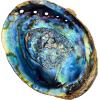 imageAbalone Shell 5 Inches or Larger  Holds Incense Trinkets and More  Incense Holder for Smudging Home Decor  Alternative Imagination6 Inches