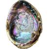imageAbalone Shell 5 Inches or Larger  Holds Incense Trinkets and More  Incense Holder for Smudging Home Decor  Alternative Imagination6 Inches