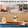 imageAlternative Imagination 8 Natural Wooden Tripod Stand  Home Decor Holder for Abalone Shell Crystal Ball Trinket Dish Jewelry Dish Key Bowl Geode and MoreNatural