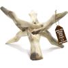 imageAlternative Imagination 8 Natural Wooden Tripod Stand  Home Decor Holder for Abalone Shell Crystal Ball Trinket Dish Jewelry Dish Key Bowl Geode and MoreNatural