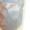 imageAmethyst Sky Biodegradable Glitter 1 Ounce  Made from Plant Cellulose Earth Friendly Perfect for Body Cosmetics Crafts DIY Projects Can be Mixed with Lotions Gels Oils Face PaintSilver
