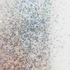 imageAmethyst Sky Biodegradable Glitter 1 Ounce  Made from Plant Cellulose Earth Friendly Perfect for Body Cosmetics Crafts DIY Projects Can be Mixed with Lotions Gels Oils Face PaintSilver