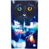 imageSeamless Bandana Buff Face Mask  Multipurpose Lightweight Style and ProtectionGalaxy Cat