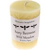 imageWild Meadow Beeswax Candles  3x4 Beeswax Pillar Candles Naturally Whitened ampamp Additive Free  40 Hours  Smokeless Dripless Unscented  for Home Decor Gifts  1 Pack  Alternative ImaginationWhite Ivory
