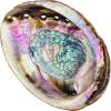 imageAbalone Shell 5 Inches or Larger  Holds Incense Trinkets and More  Incense Holder for Smudging Home Decor  Alternative Imagination5 Inches