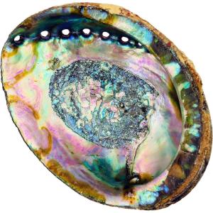 imageAbalone Shell 5 Inches or Larger  Holds Incense Trinkets and More  Incense Holder for Smudging Home Decor  Alternative Imagination6 Inches