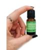 imagePalo Santo Essential Oil  10ml  100 Percent Pure for Essential Oil Diffusers Aromatherapy Candle Making Pillow Spray Room SprayPalo Santo