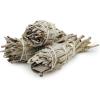 imageWhite Sage Smudge Sticks  Pack of 3 Torch Style Bundles  4quot Long  Natural Incense for Spiritual Cleansing Witchcraft Supplies Sage Smudge Kit Spiritual Gifts