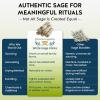 imageAlternative Imagination California White Sage Smudge Sticks  3Pack of 6Inch Bundles for Home CleansingEnergy Clearing Meditation Witchcraft Spiritual GiftsAltar ampamp Smudging Packaged in the USA6 Pack  4 Inch