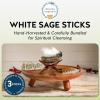 imageAlternative Imagination California White Sage Smudge Sticks  3Pack of 6Inch Bundles for Home CleansingEnergy Clearing Meditation Witchcraft Spiritual GiftsAltar ampamp Smudging Packaged in the USA3 Pack  5 Inch