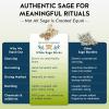 imageAlternative Imagination California White Sage Smudge Sticks  3Pack of 6Inch Bundles for Home CleansingEnergy Clearing Meditation Witchcraft Spiritual GiftsAltar ampamp Smudging Packaged in the USA3 Pack  5 Inch