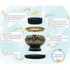 imageBlack Brass Incense Holder  Decorative Incense Burner for Resin Cones Witchcraft Supplies Meditation Accessories Spiritual Gifts Home Decor Boho Room Decor  2quot Tall  Alternative ImaginationBlack